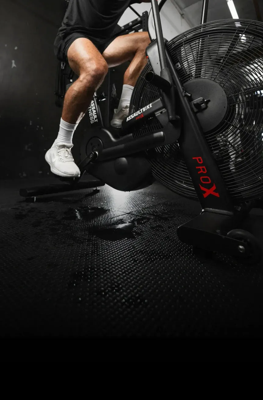 AssaultBike Pro X