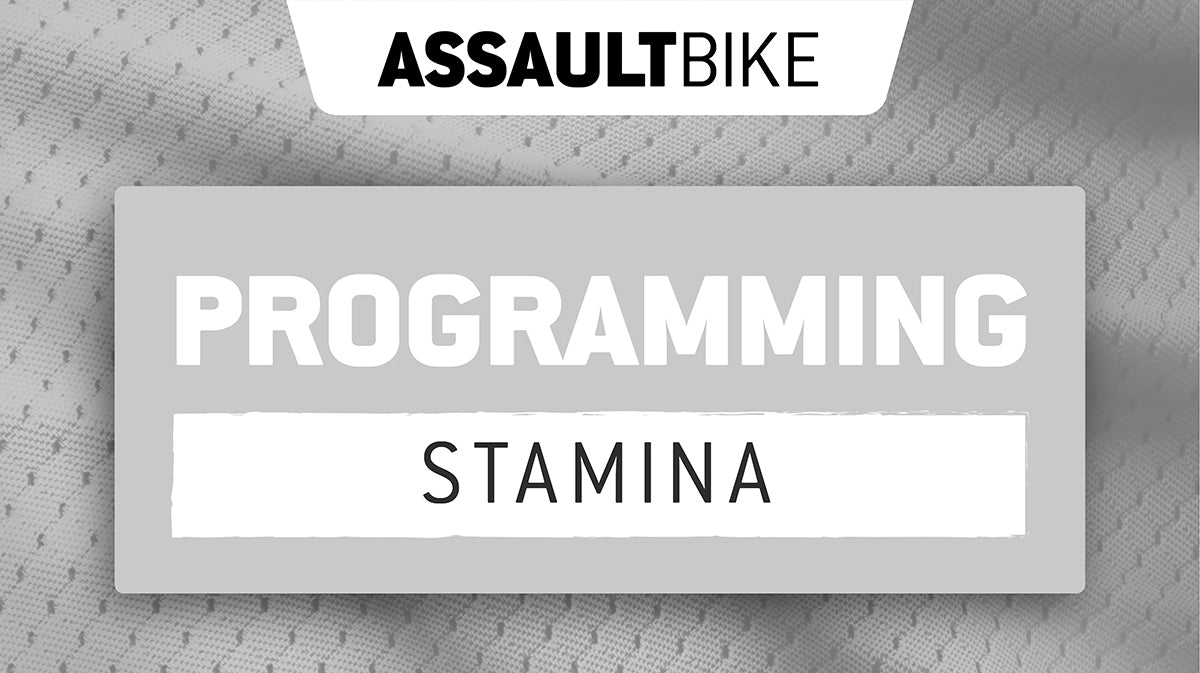 AssaultWOD: AssaultBike Stamina