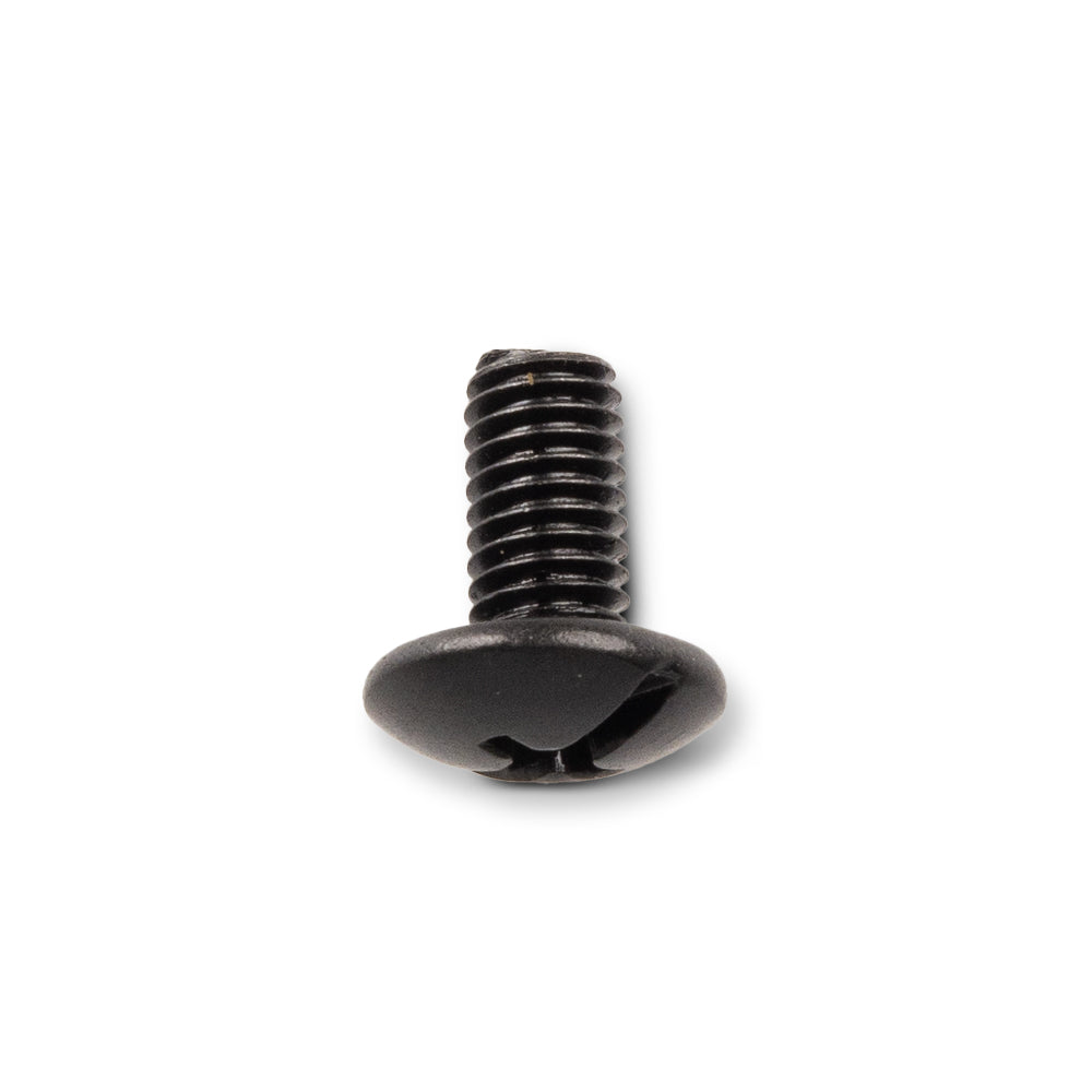 Phillips Screw